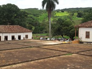 Fazenda de Café - Estado de Sao Paulo - Brasil