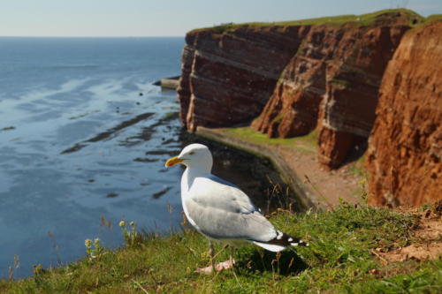 Isla de Helgoland - Lange Anna