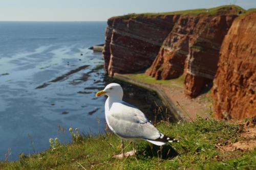 Ilha de Helgoland - Lange Anna